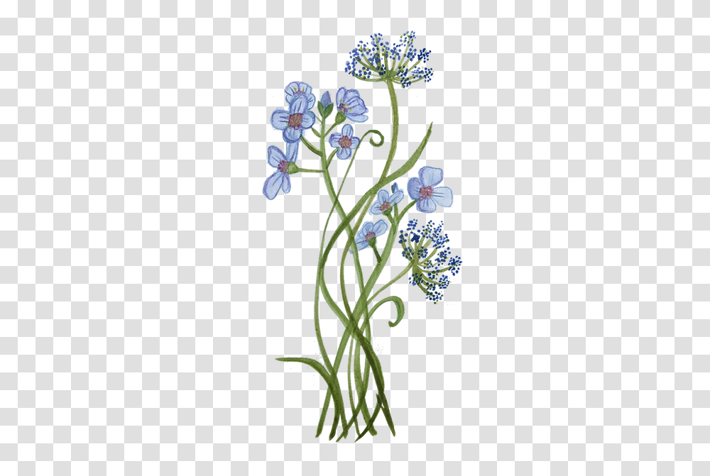 Alexine And Pete Alpine, Plant, Flower, Blossom, Acanthaceae Transparent Png