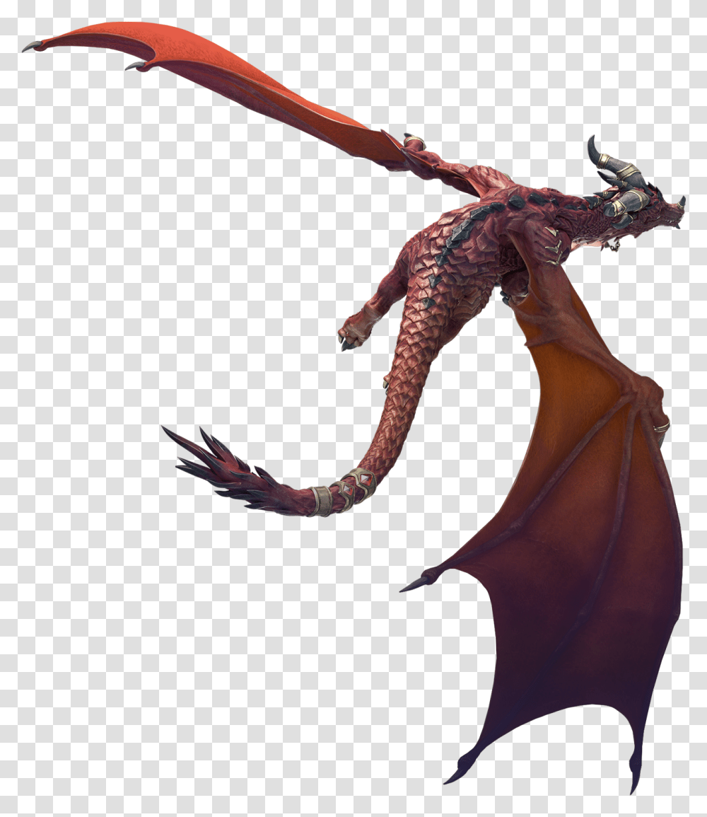 Alexstrasza Dragon, Animal, Person, Sea Life, Mammal Transparent Png