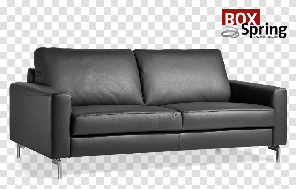 Alexx Studio Couch, Furniture, Cushion, Canvas, Armchair Transparent Png