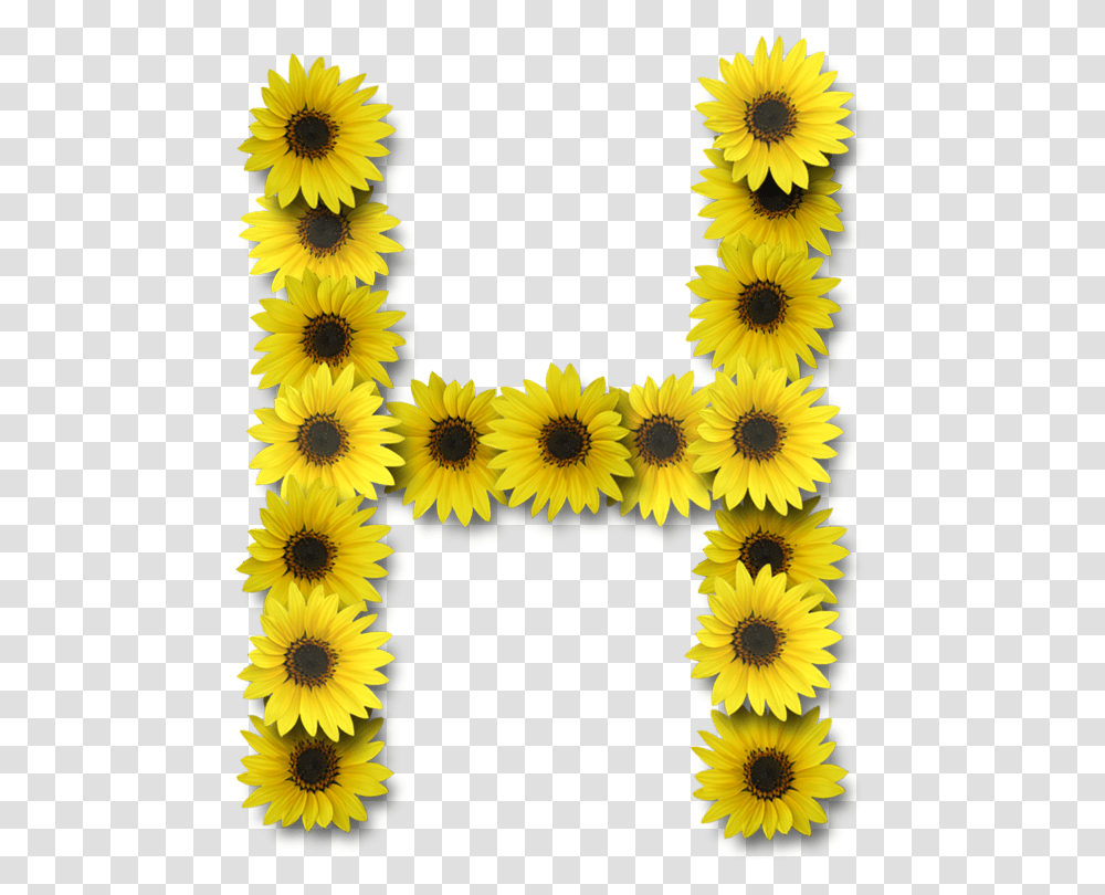 Alfabeto Sunflowers Alphabet Sunflower Letters, Plant, Blossom, Rug, Daisy Transparent Png