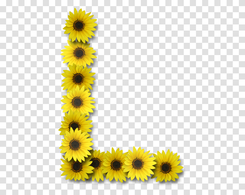 Alfabeto Sunflowers Letra L Con Girasoles, Plant, Blossom, Rug, Daisy Transparent Png