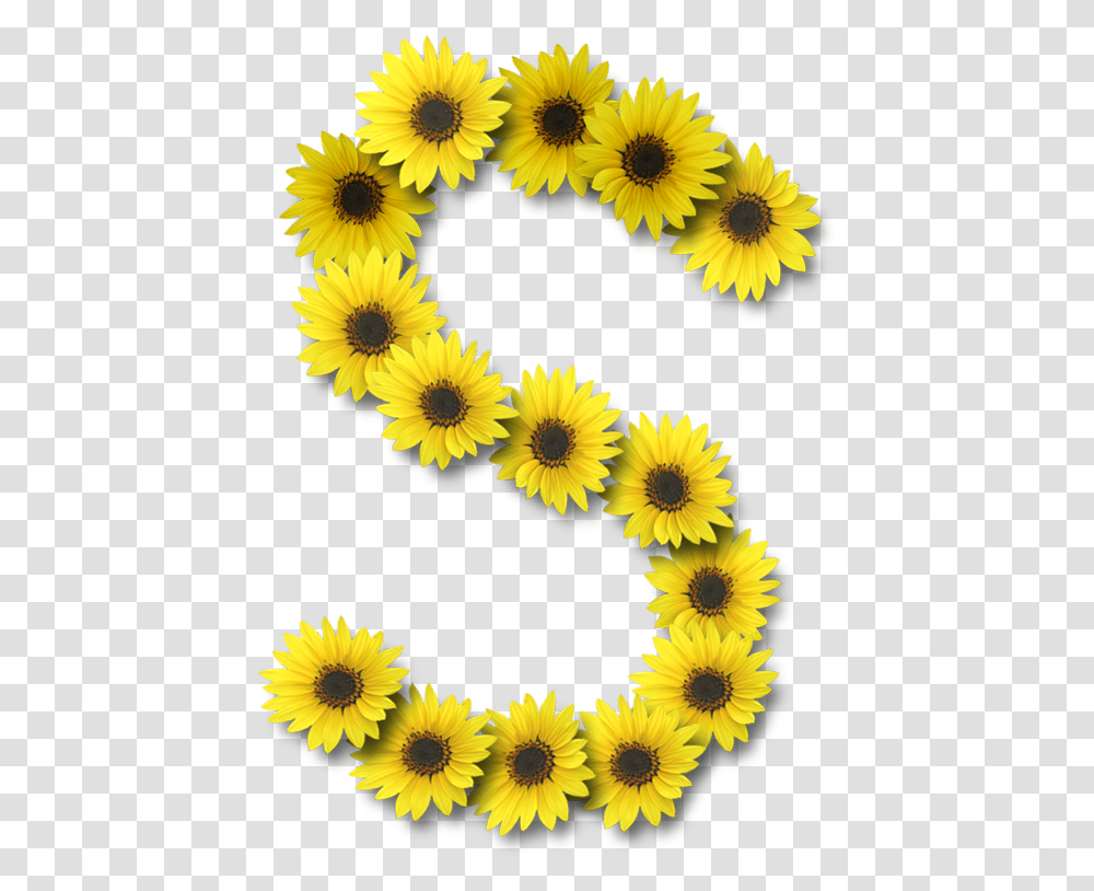 Alfabeto Sunflowers S Floral Border Design Sunflower Sunflower Alphabet, Plant, Blossom, Rug, Daisy Transparent Png