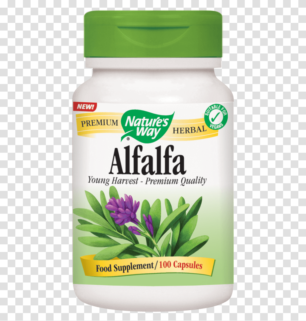 Alfalfa Capsules Nature's Way Licorice Root, Mayonnaise, Food, Plant, Flower Transparent Png