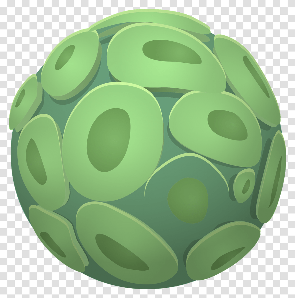 Algae Cell, Sphere, Green, Ball, Accessories Transparent Png
