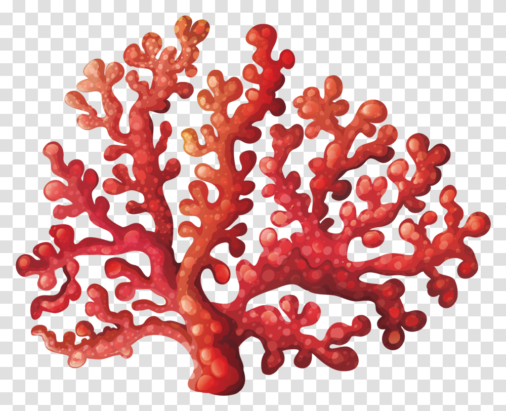 Algae Clipart Background Coral Clipart, Sea, Outdoors, Water, Nature Transparent Png