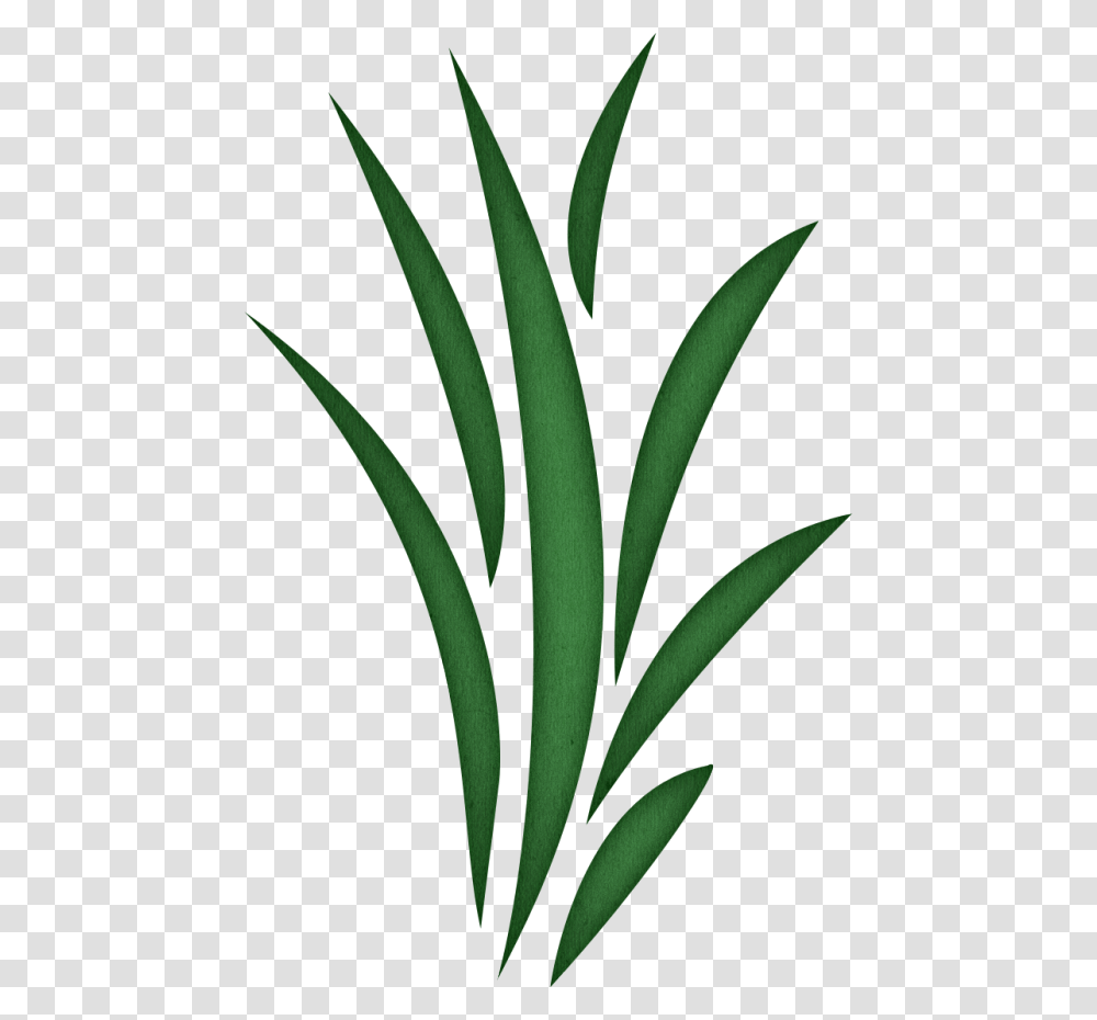 Seagrass png images for free download – Pngset.com