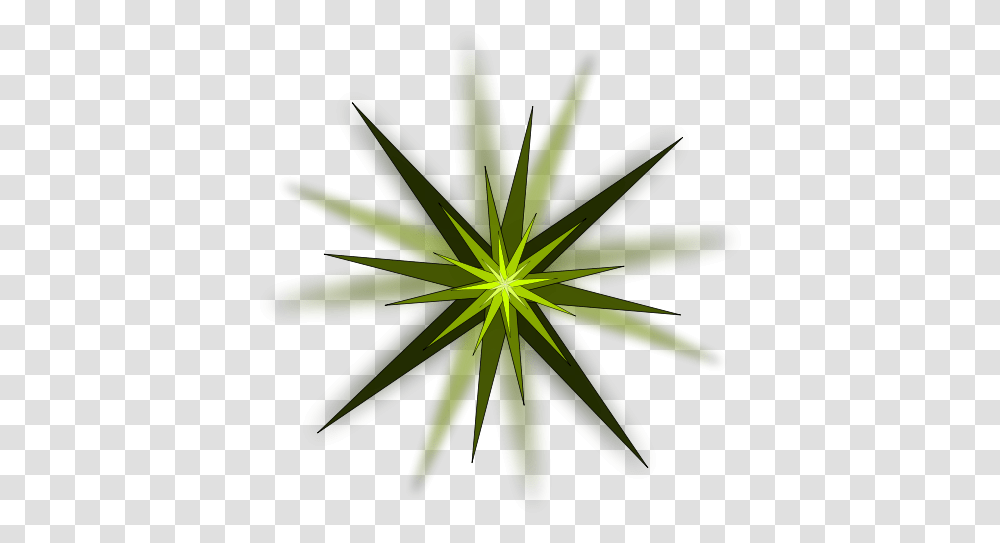 Algae Green Star Designs, Plant, Flower, Blossom, Leaf Transparent Png