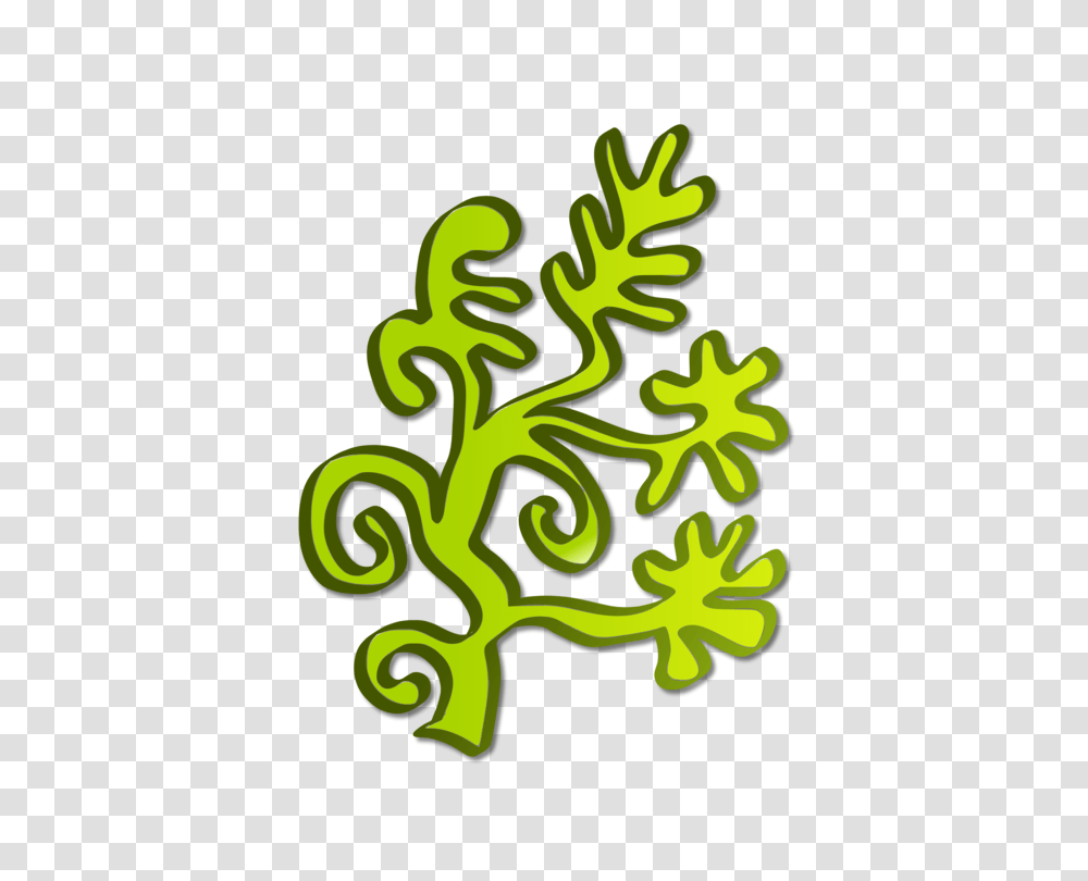 Algae Seaweed Aquatic Plants Cryptogamic Botany, Alphabet, Tree Transparent Png