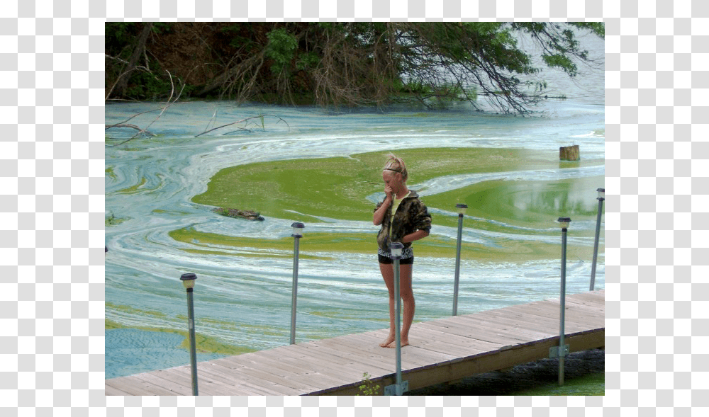 Algal Bloom, Person, Water, Waterfront, Pier Transparent Png