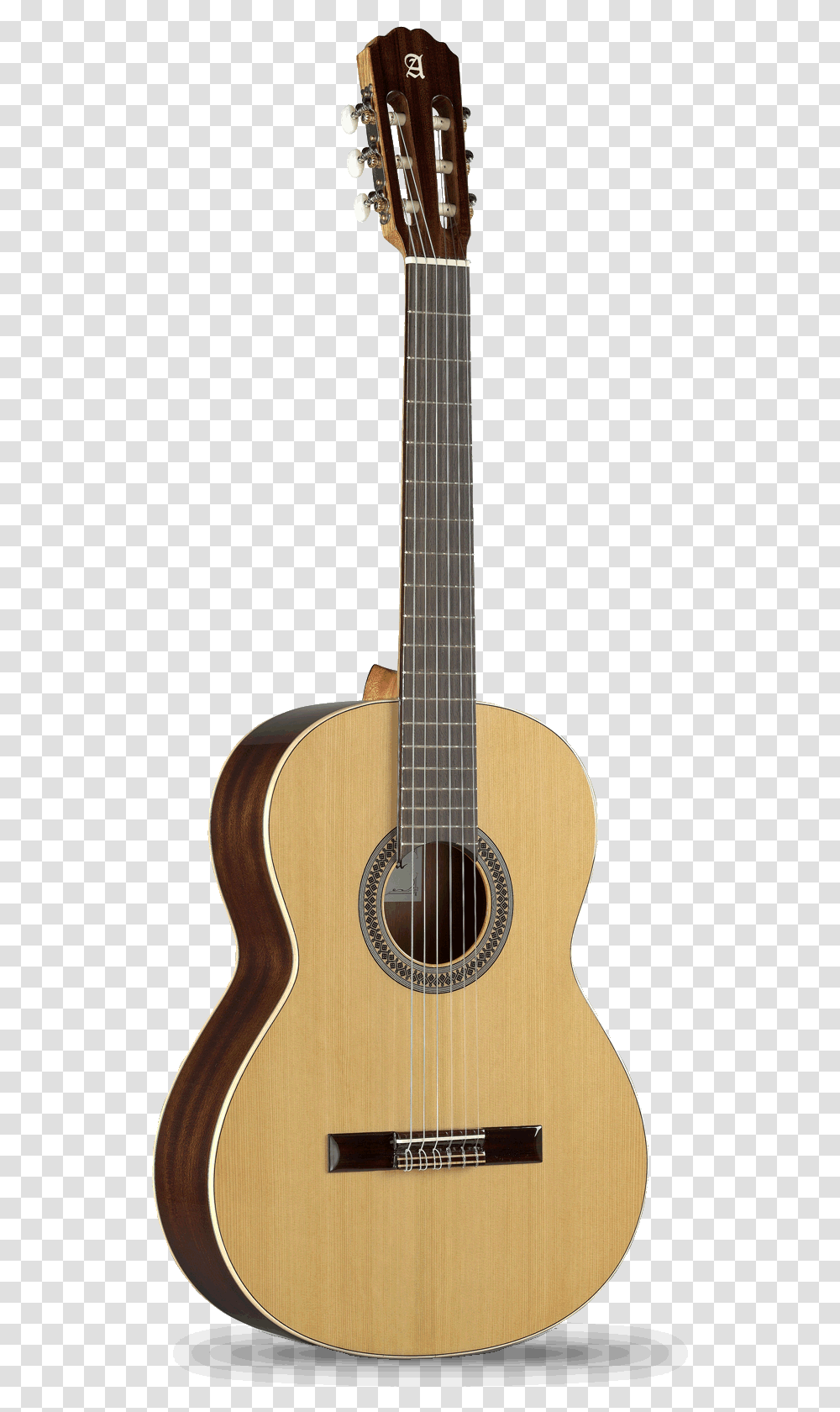 Alhambra Guitar, Leisure Activities, Musical Instrument, Bass Guitar, Lute Transparent Png