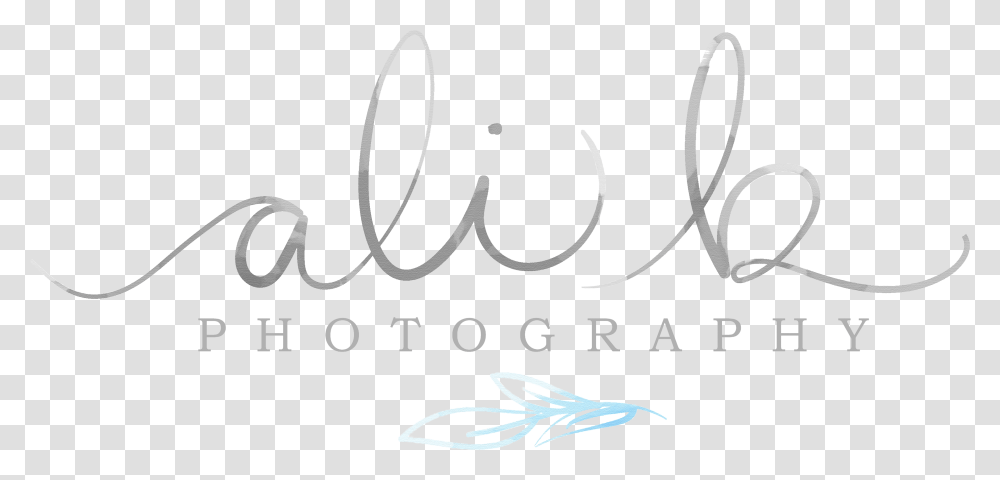 Ali A Text Ali Photography Logo, Handwriting, Calligraphy, Alphabet, Label Transparent Png