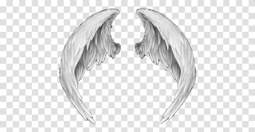 Ali Angelo 4 Image White Anime Angel Wings, Art, Bird, Animal, Archangel Transparent Png