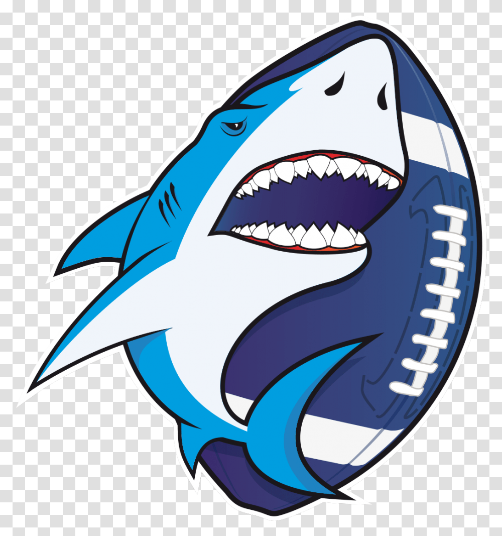 Alicante Sharks, Animal, Sea Life, Fish, Great White Shark Transparent Png