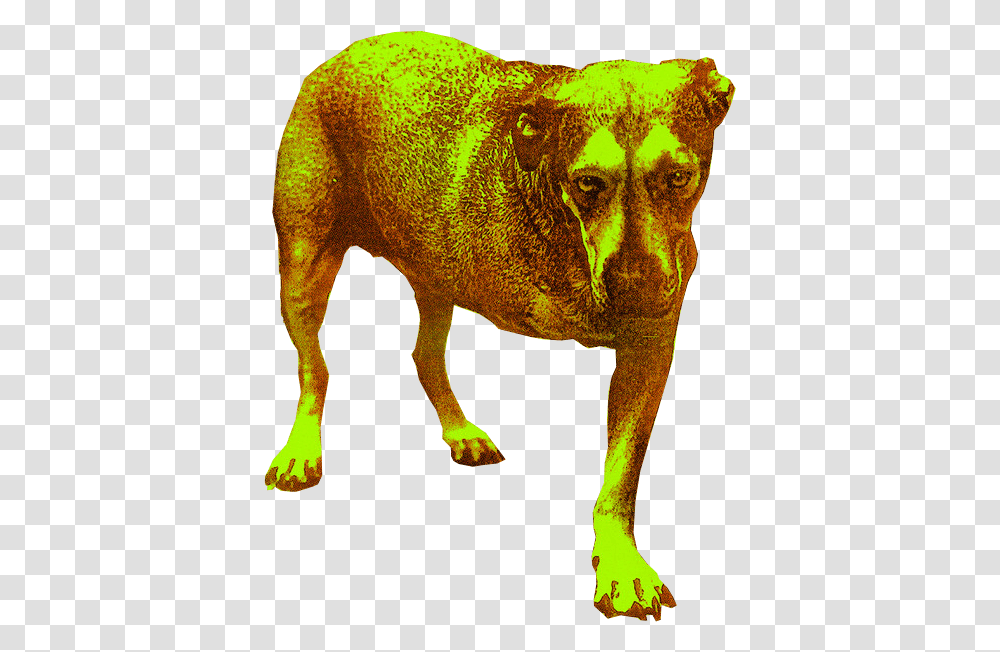 Alice In Chains Alice In Chains, Pig, Mammal, Animal, Hog Transparent Png