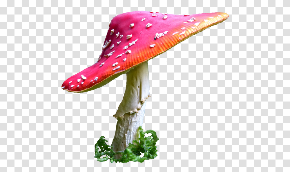 Alice In Wonderland Mushroom Clip Art Royalty Free Alice In Wonderland Mushroom, Plant, Fungus, Agaric, Amanita Transparent Png