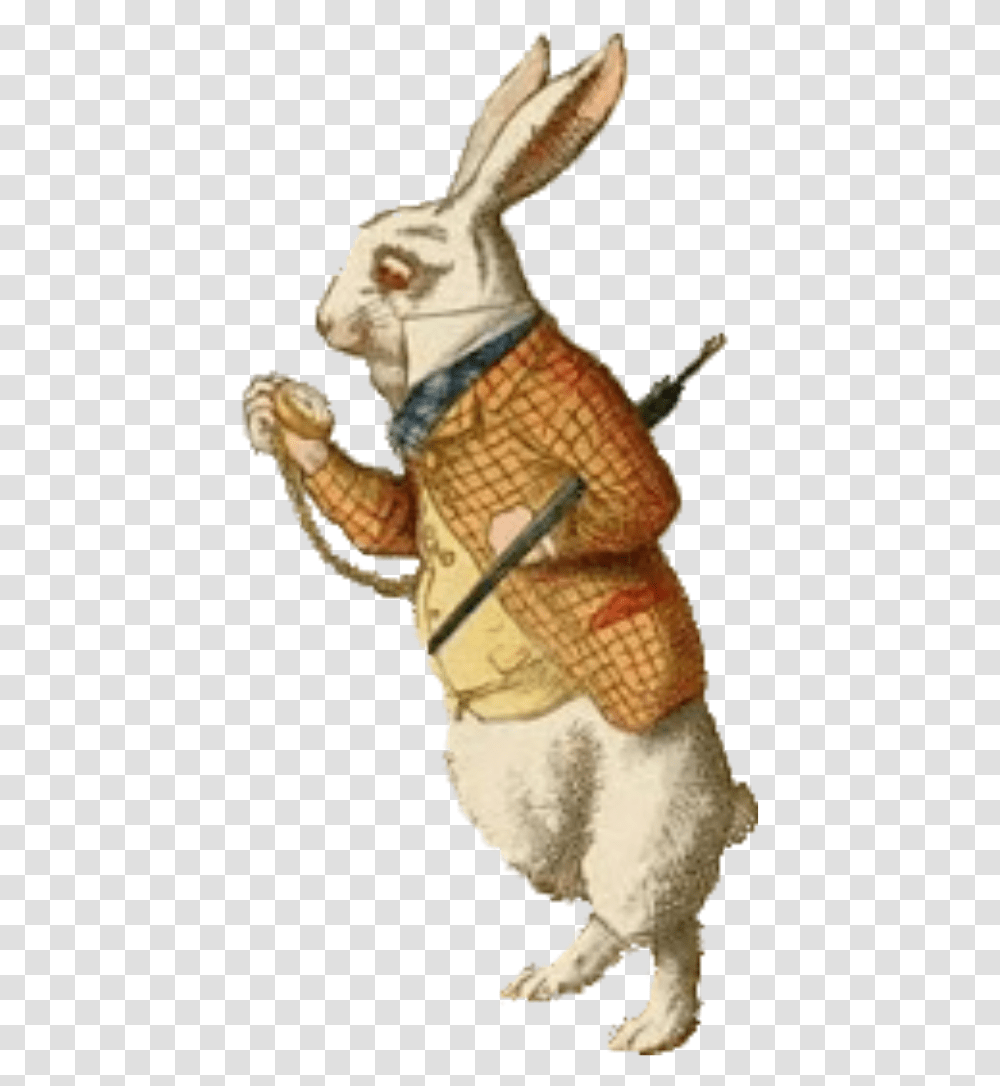 Alice In Wonderland Rabbit Rabbit With Pocket Watch, Figurine, Person, Animal, Mammal Transparent Png