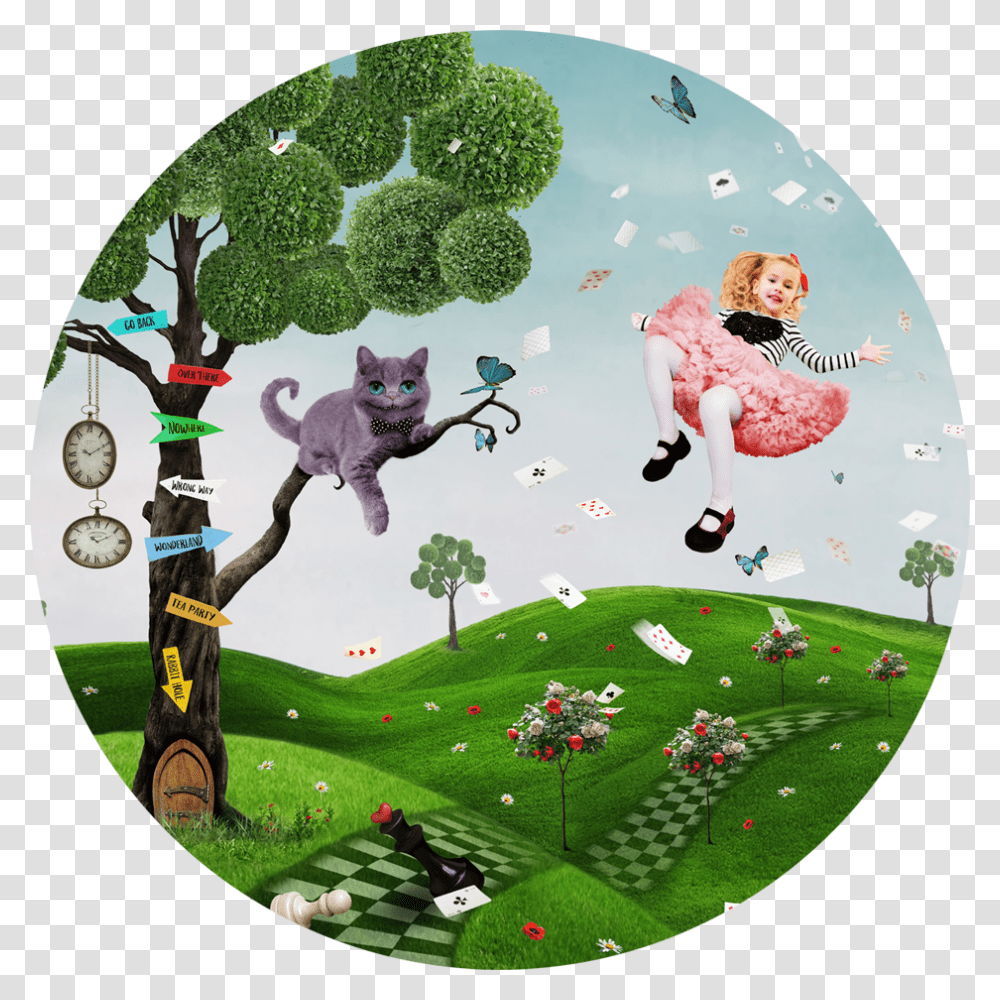 Alice In Wonderland Wall Paper, Person, Cat Transparent Png