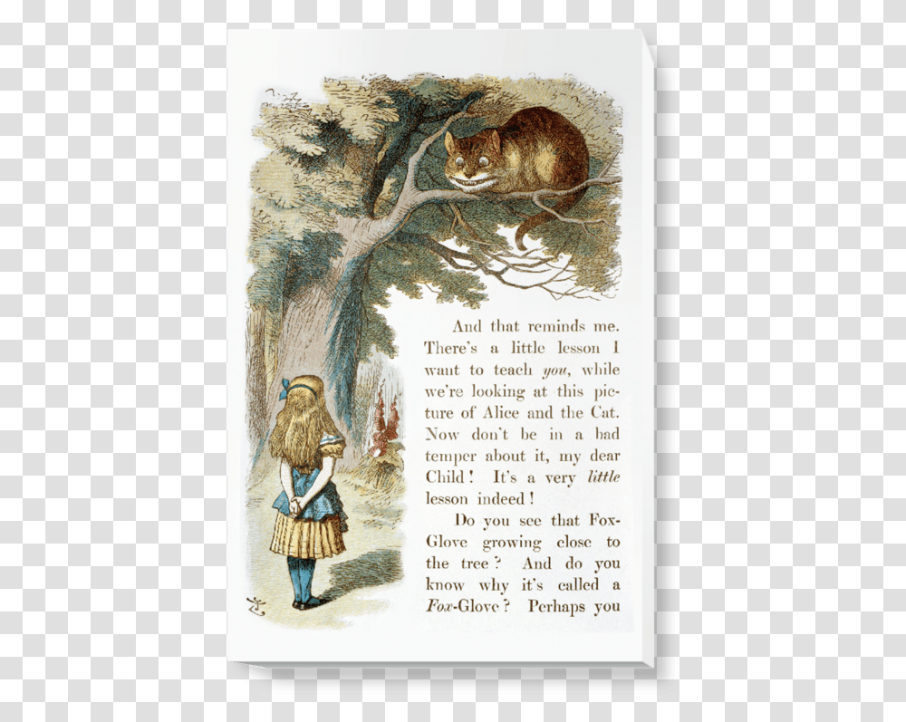 Alice In Wonderland Would You Tell Me Please, Bird, Animal, Cat, Mammal Transparent Png