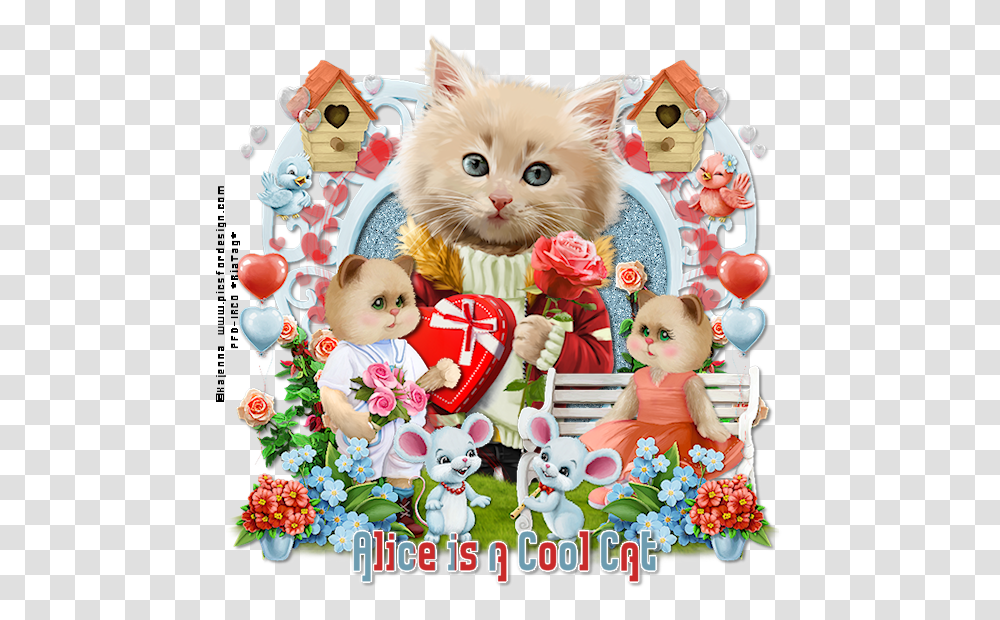 Alice Is A Cool Cat Foru Kitten, Collage, Poster, Advertisement, Pet Transparent Png
