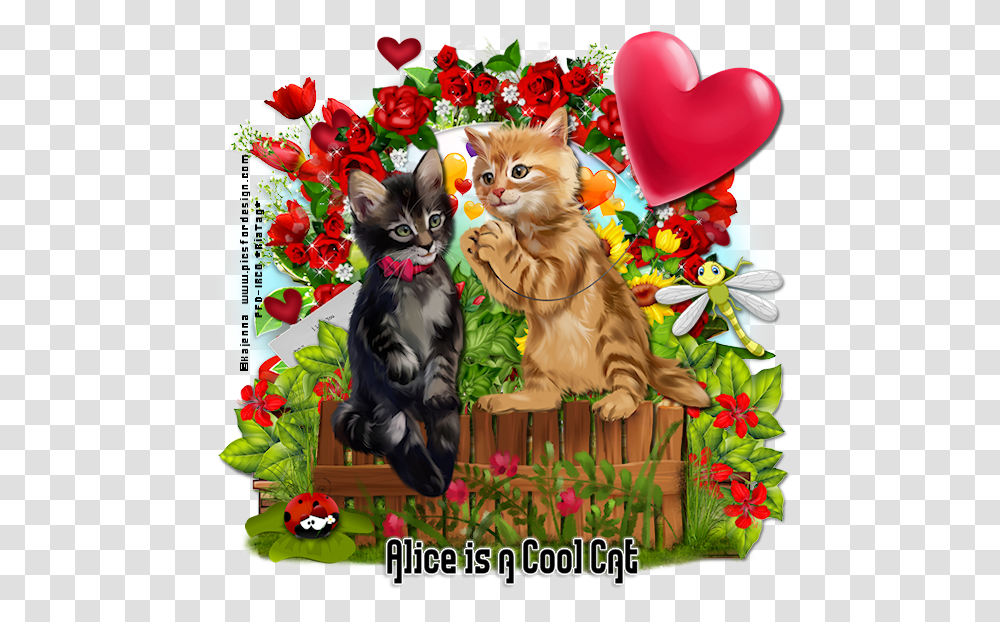 Alice Is A Cool Cat Give Kitten, Pet, Mammal, Animal, Advertisement Transparent Png