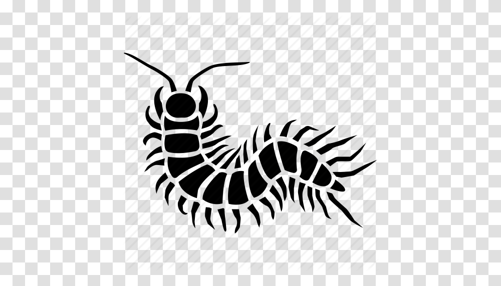 Alien Arthropod Bug Centipede Gross Insect Millipede Icon, Weapon, Weaponry, Diamond Transparent Png