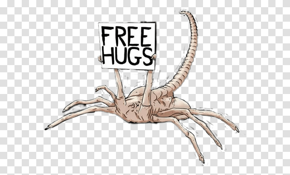 Alien Facehugger Free Face Hugs, Sea Life, Animal, Seafood, Crab Transparent Png