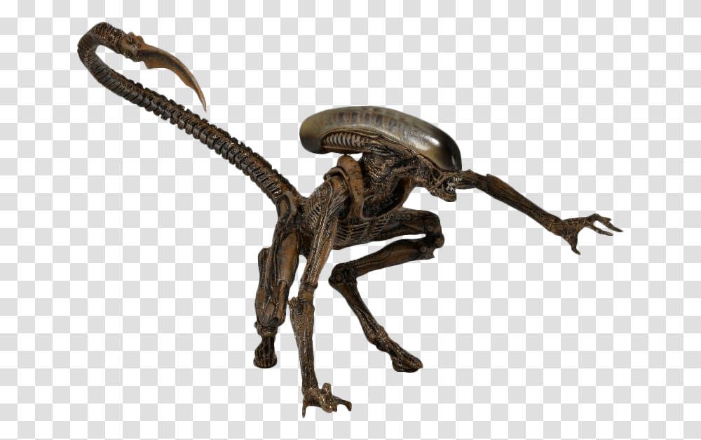 Alien, Fantasy, Animal, Dinosaur, Reptile Transparent Png