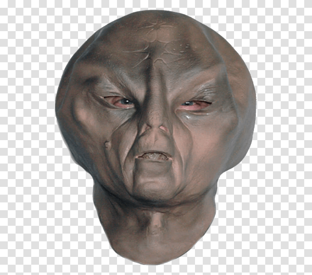 Alien, Fantasy, Head, Person, Human Transparent Png