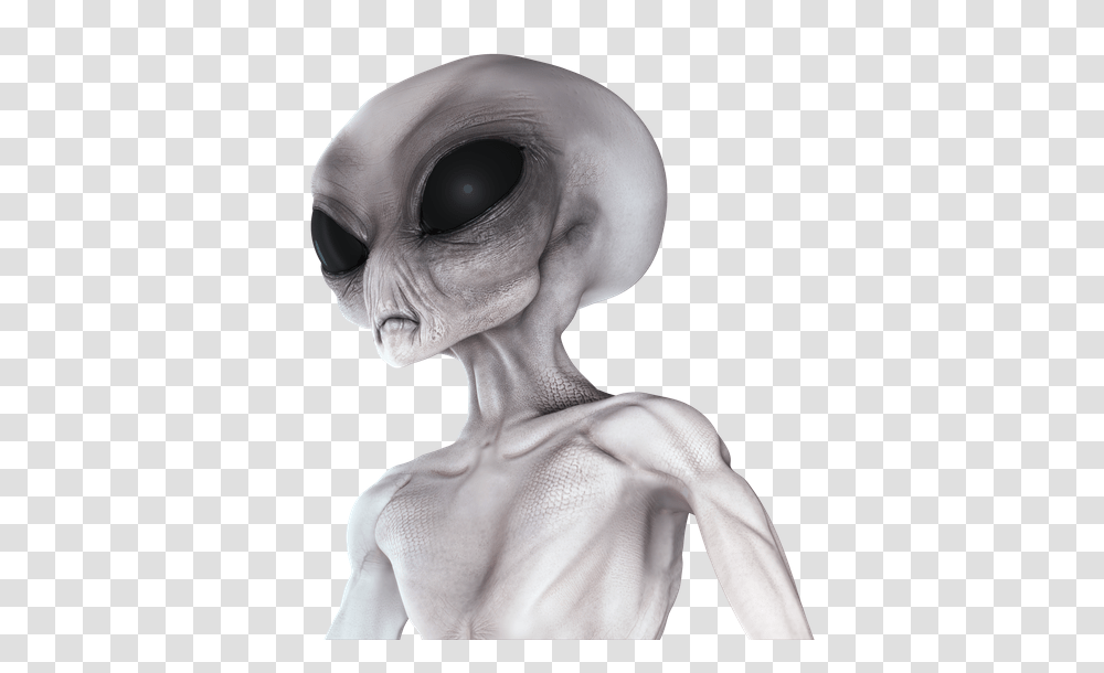 Alien, Fantasy, Person, Human Transparent Png