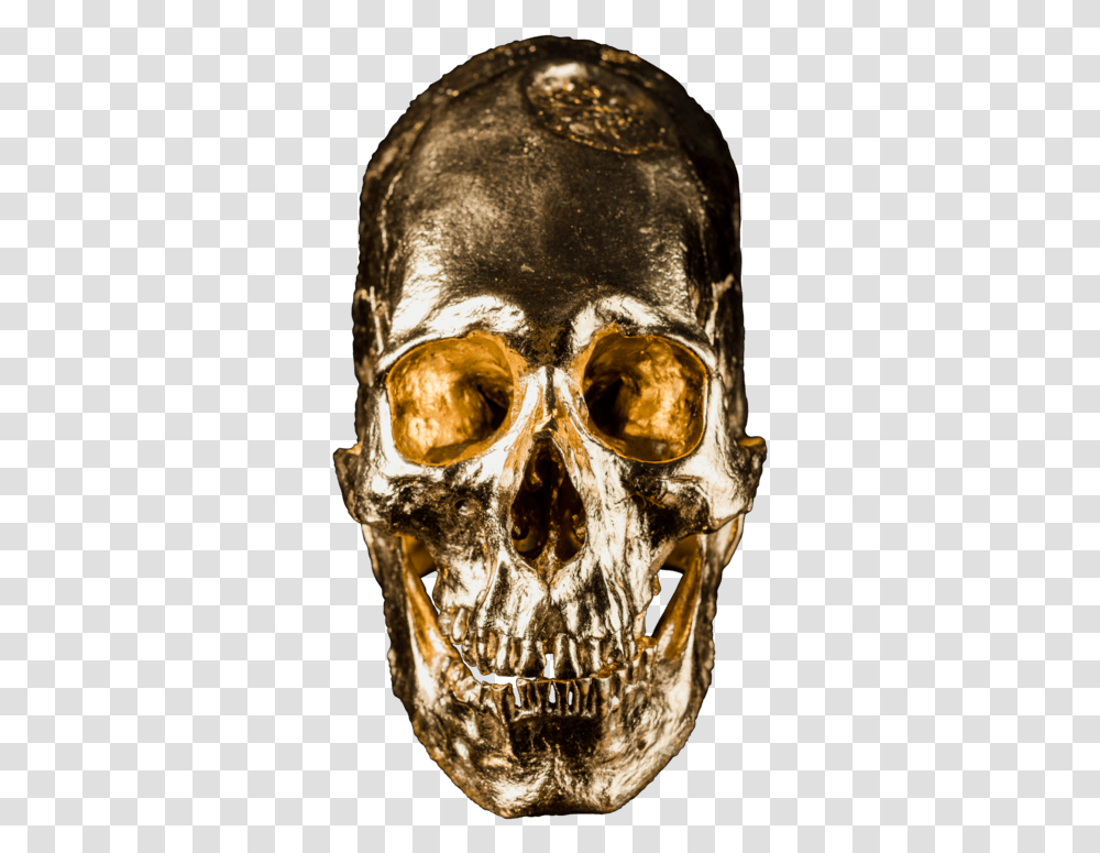 Alien Skull No Skull, Head, Face, Glasses, Accessories Transparent Png