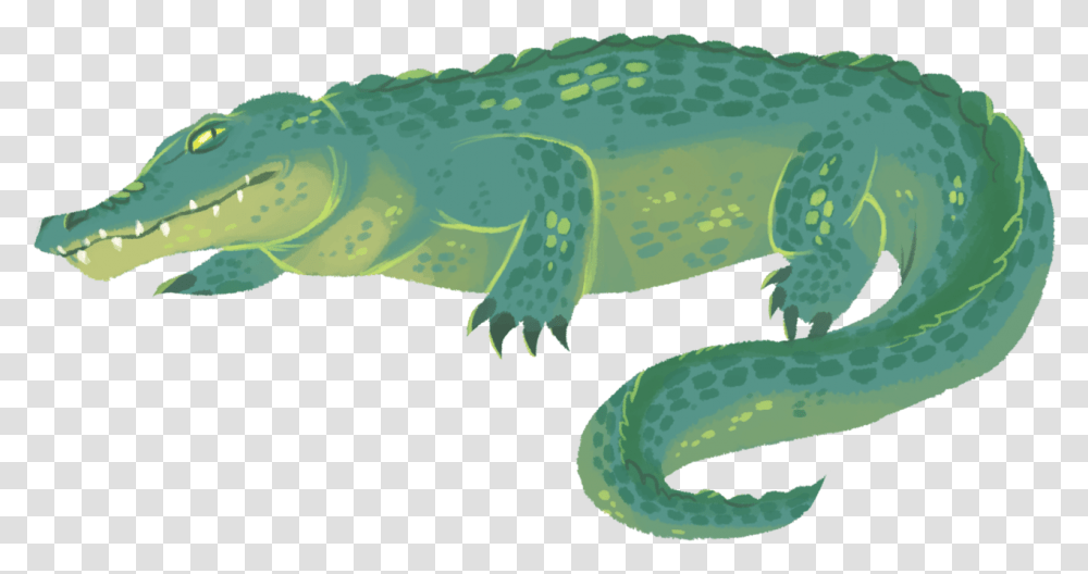 Aligator Crocodile, Reptile, Animal, Alligator Transparent Png