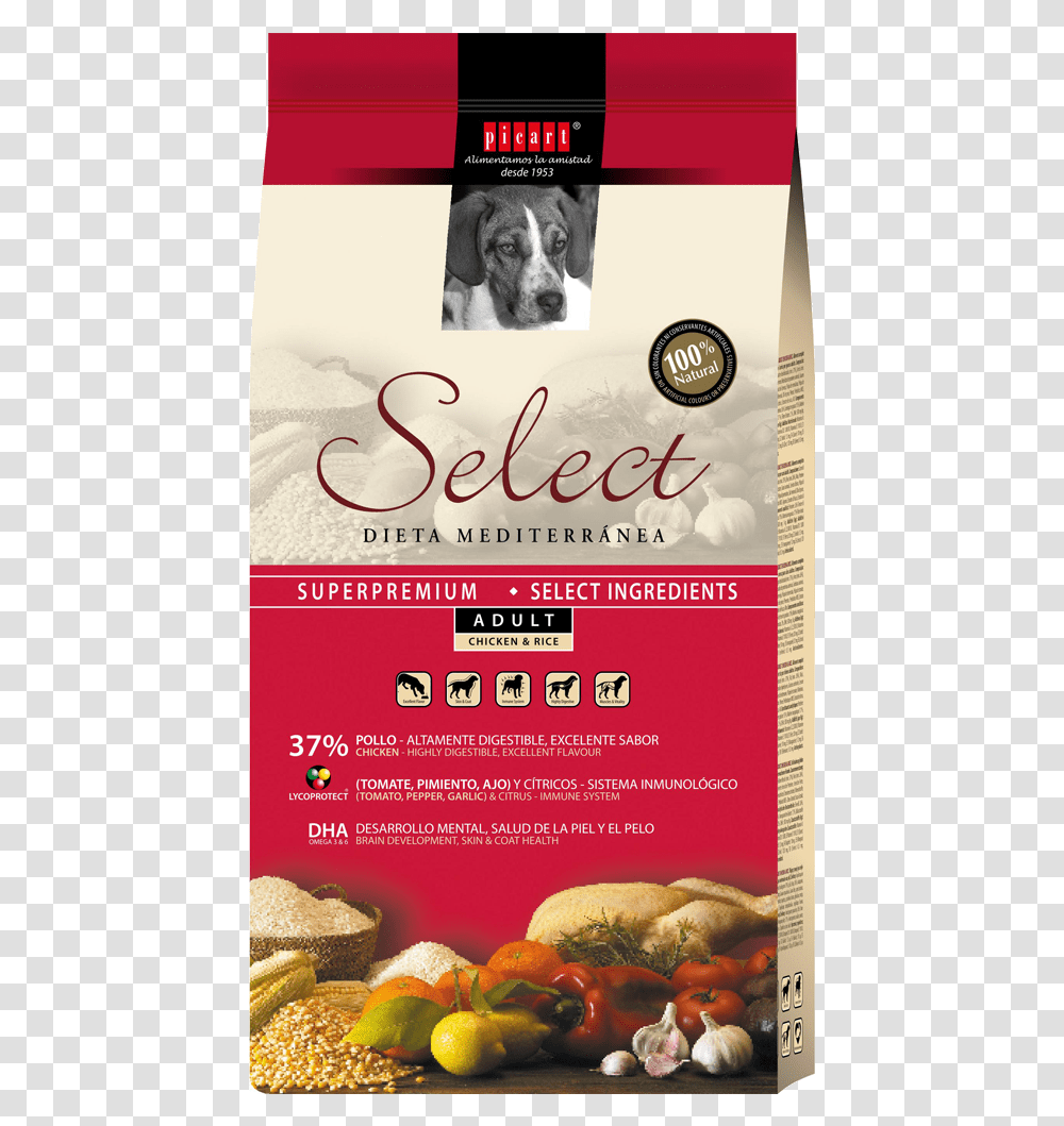 Alimento Para Perros Adultos Picart Select, Advertisement, Poster, Flyer, Paper Transparent Png