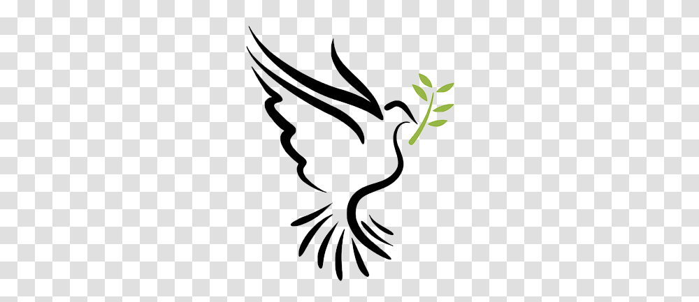 Alive In The Spirit Christ The Redeemer Catholic Church, Bird, Animal, Beak, Jay Transparent Png