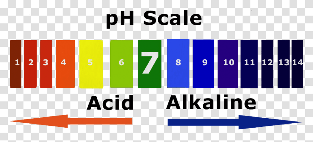 Alkaline Water Is Water With A Ph Level Greater Than Model Of Ph Scale, Number, Word Transparent Png