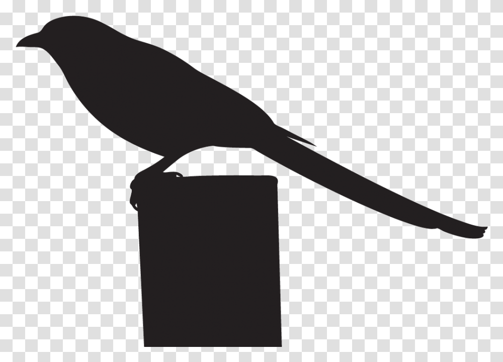 All About Birds Clipart Download Crow, Axe, Tool, Weapon, Weaponry Transparent Png