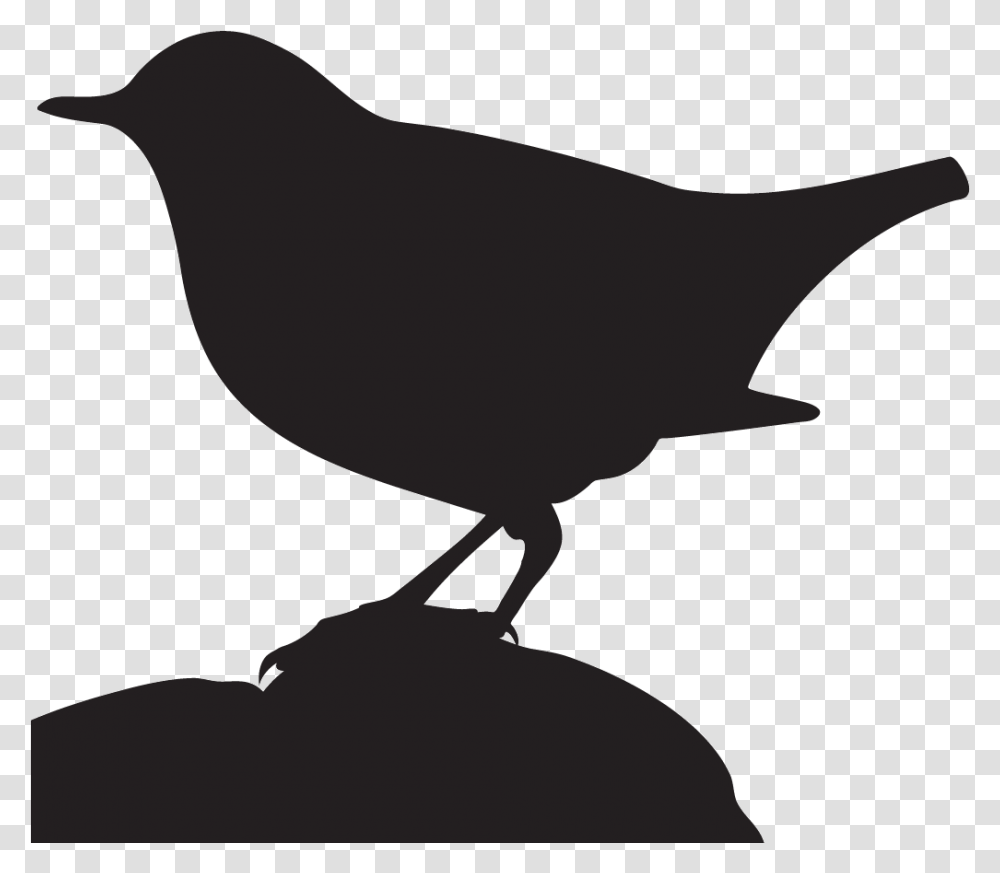 All About Birds Clipart Download Old World Flycatcher, Animal, Silhouette, Blackbird, Agelaius Transparent Png