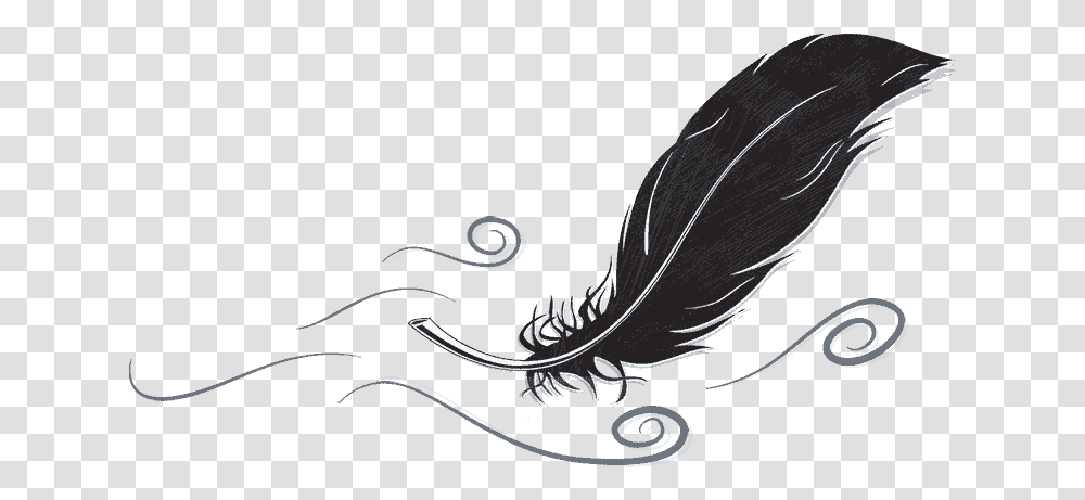 All About Feathers Illustration, Graphics, Art, Floral Design, Pattern Transparent Png