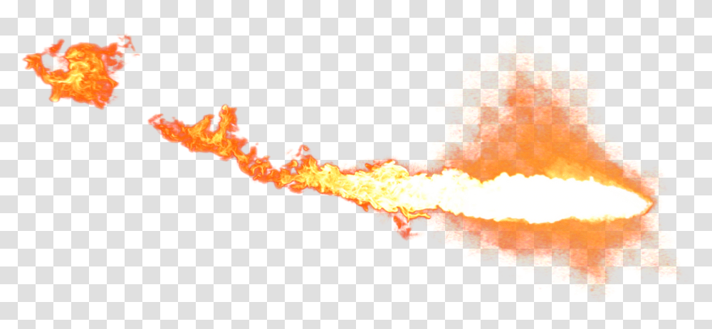 All About Fire Images, Flame, Fungus, Bonfire Transparent Png