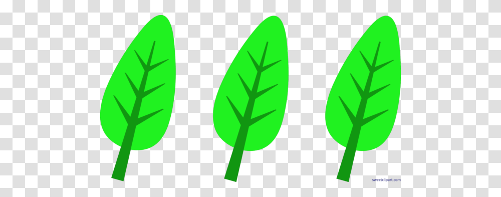 All Clip Art Archives, Leaf, Plant, Green Transparent Png