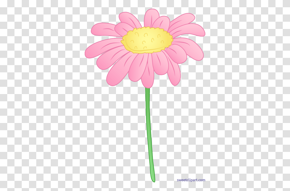 All Clip Art Archives, Plant, Daisy, Flower, Daisies Transparent Png