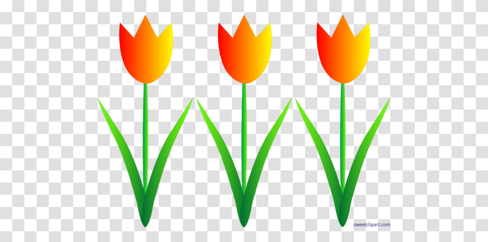 All Clip Art Archives, Plant, Tulip, Flower, Blossom Transparent Png