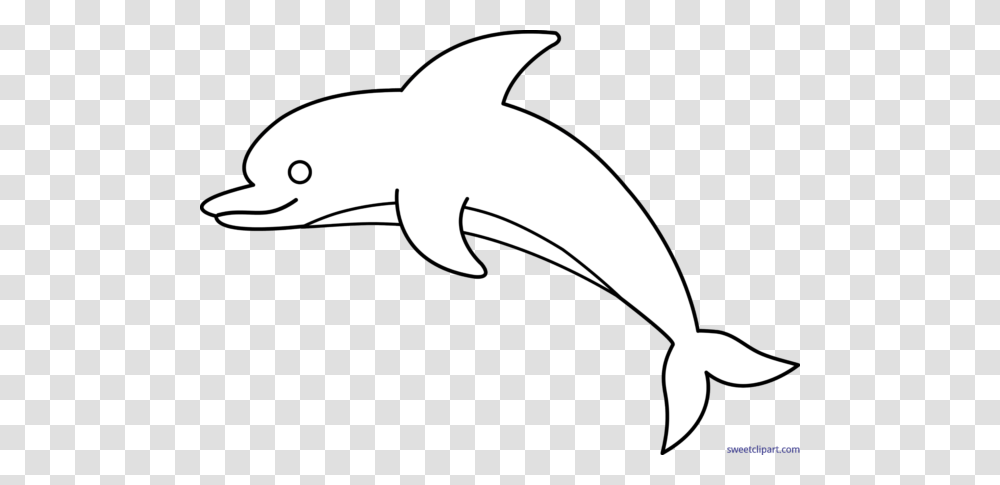 All Clip Art Archives, Sea Life, Animal, Mammal, Dolphin Transparent Png
