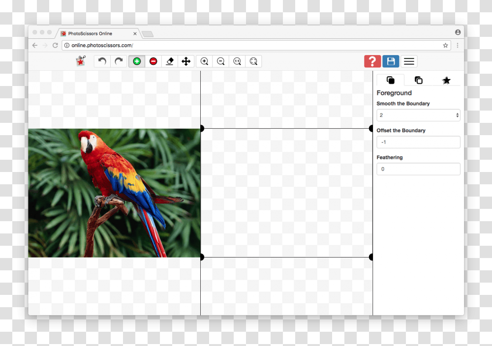 All Different Types Of Feathers, Bird, Animal, Macaw, Parrot Transparent Png