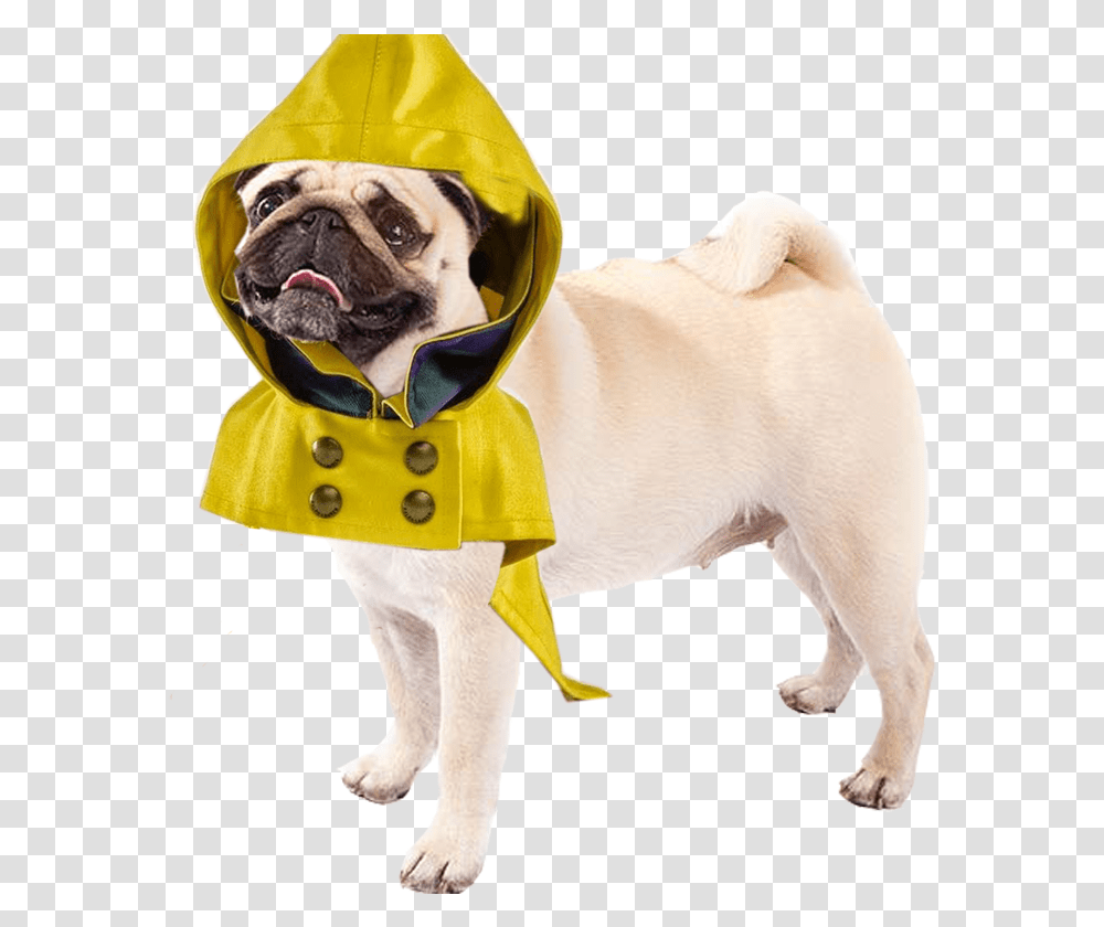 All Dog, Apparel, Coat, Raincoat Transparent Png