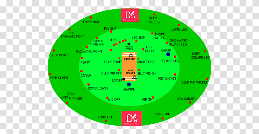 All Fielding Positions In Cricket, Diagram, Vegetation, Plant, Plot Transparent Png