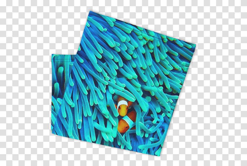 All Inone Mask Clownfish Vertical, Sea Anemone, Invertebrate, Sea Life, Animal Transparent Png