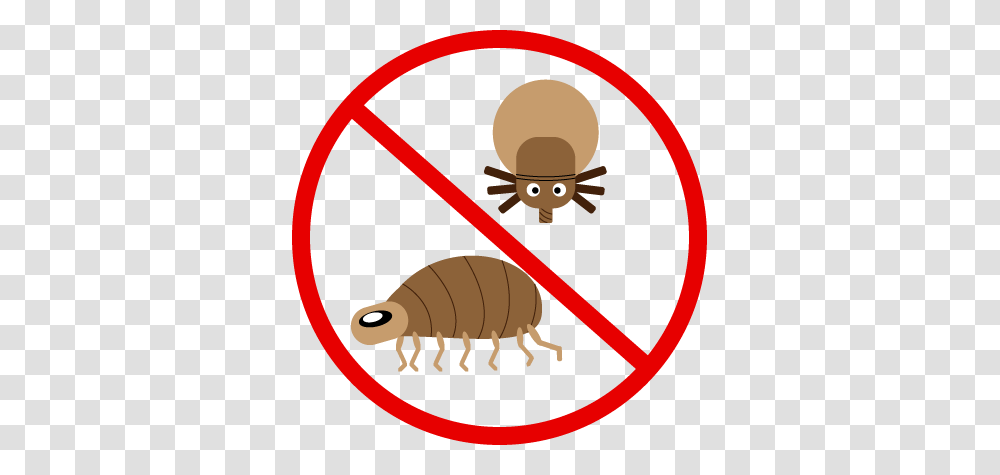 All Natural Ways To Stop Fleas On Dogs, Insect, Invertebrate, Animal, Beverage Transparent Png