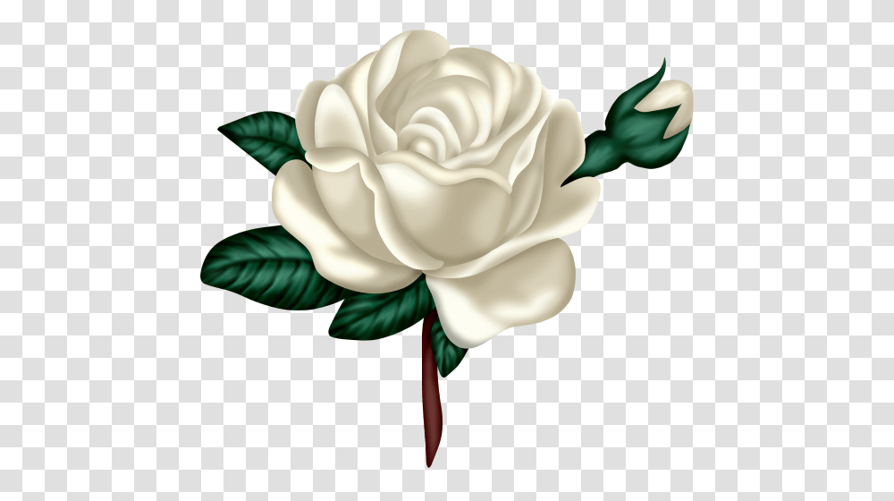 All New All Free All Baileys Funblog, Rose, Flower, Plant, Blossom Transparent Png
