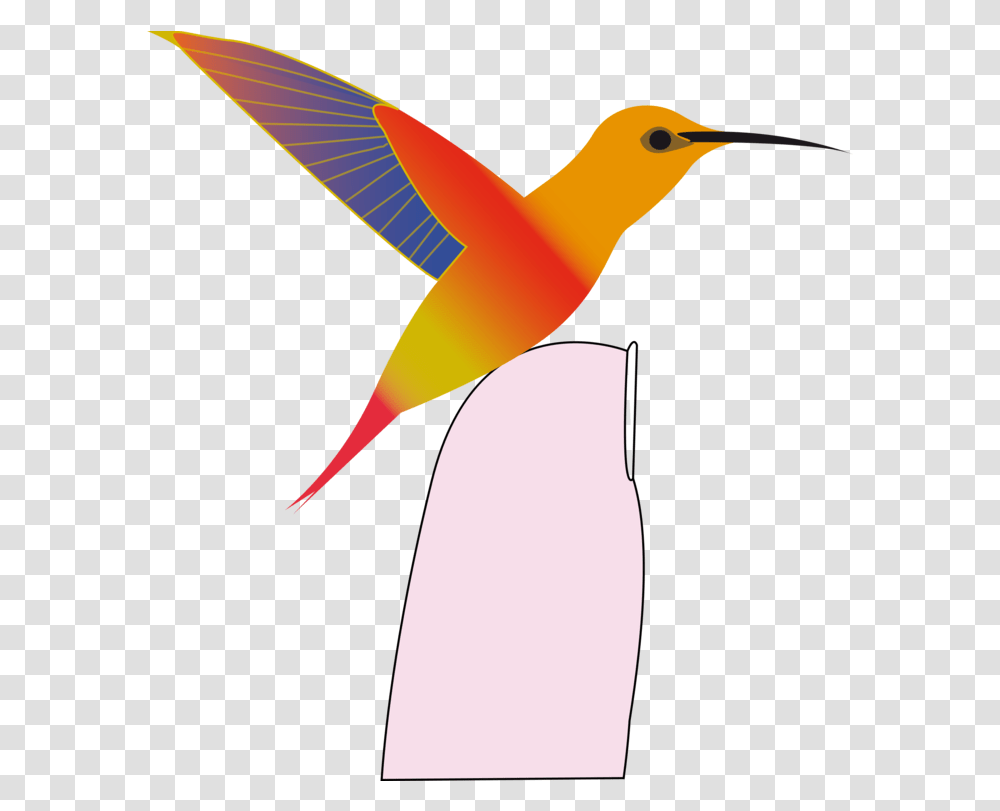 All Photo Clipart Hummingbirds, Bee Eater, Animal, Axe, Tool Transparent Png