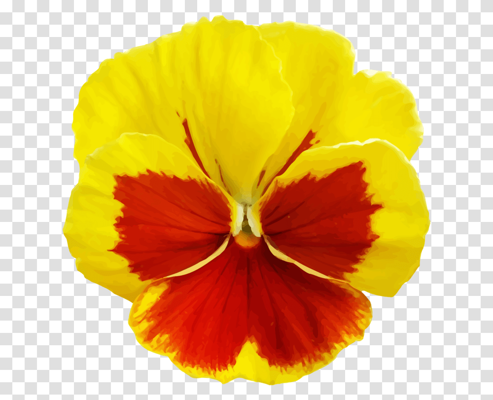 All Photo Clipart Yellow Pansy Flower Pansy Flower, Plant, Blossom Transparent Png